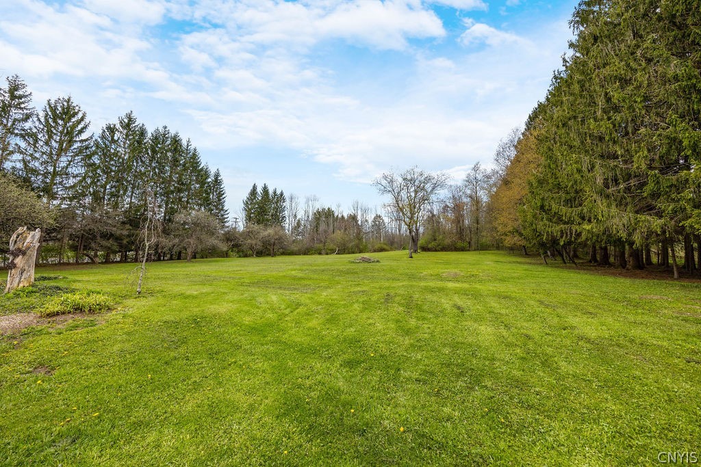 4031 Putnam Road Nelson, NY 13035 - Photo 39 of 43