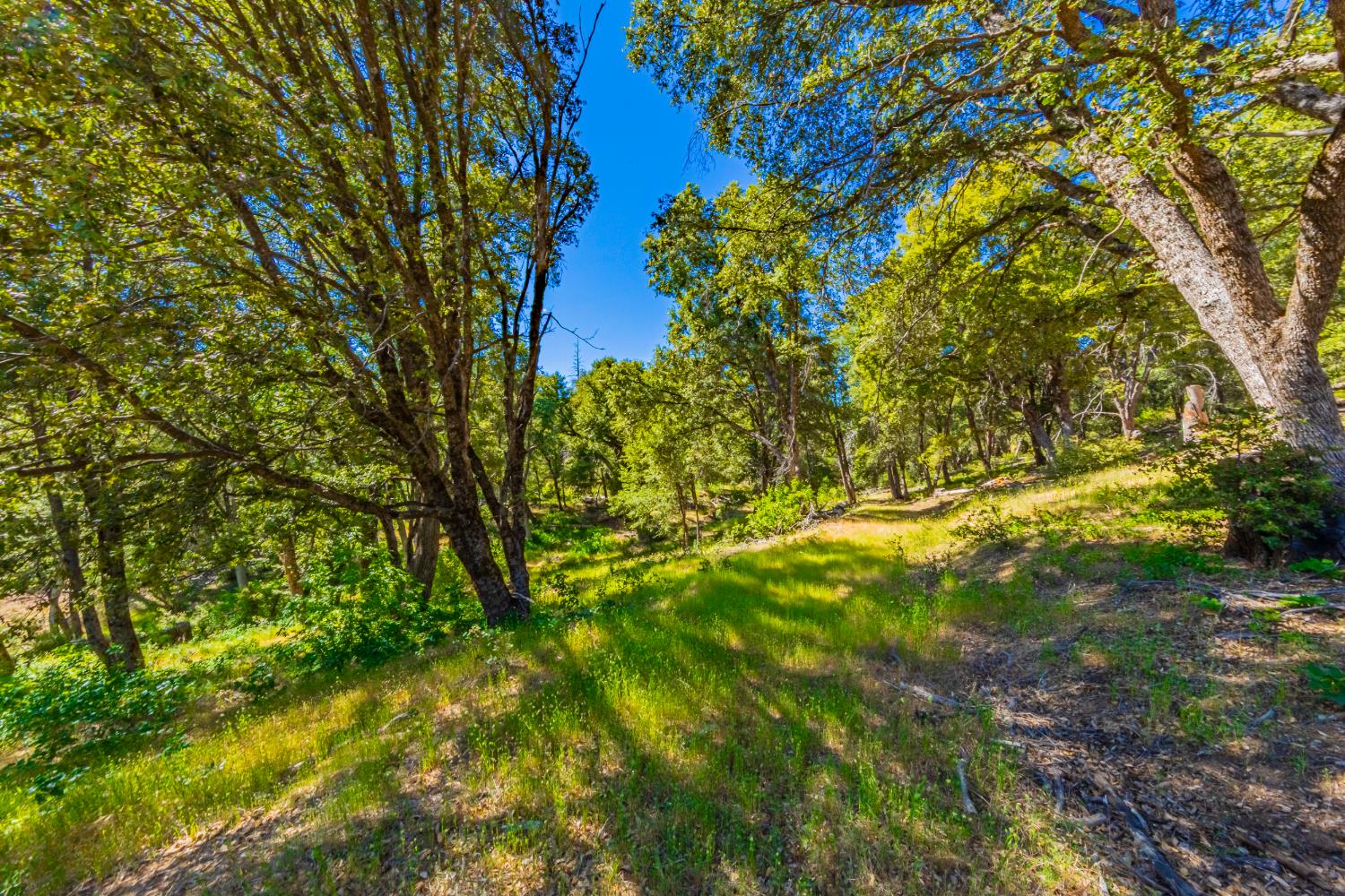 5 3 Springs Road Oakhurst, CA 93644 - Photo 2 of 22