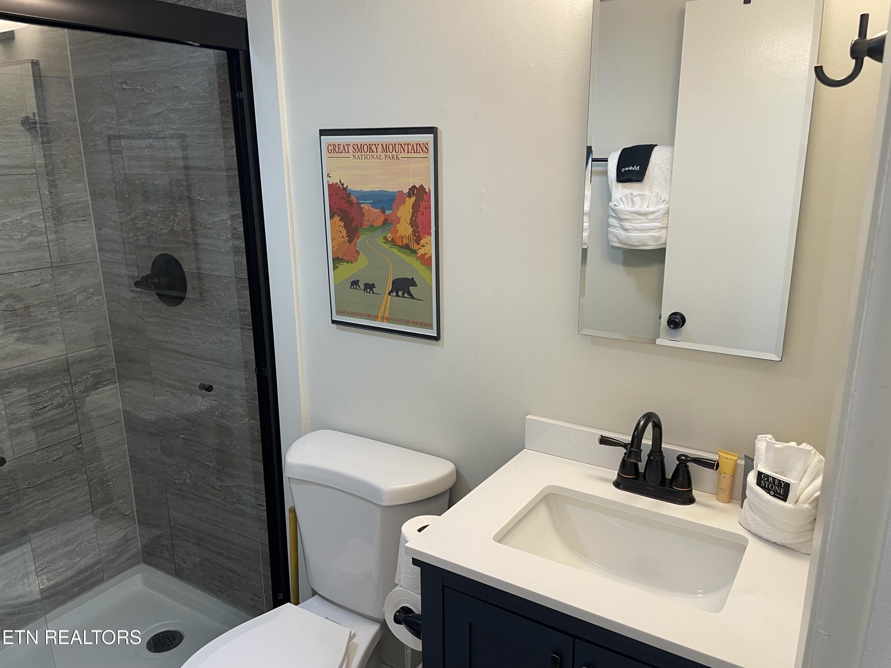 685 River Road, Unit 303 Gatlinburg, TN 37738 - Photo 7 of 14 IMG_4294_2699