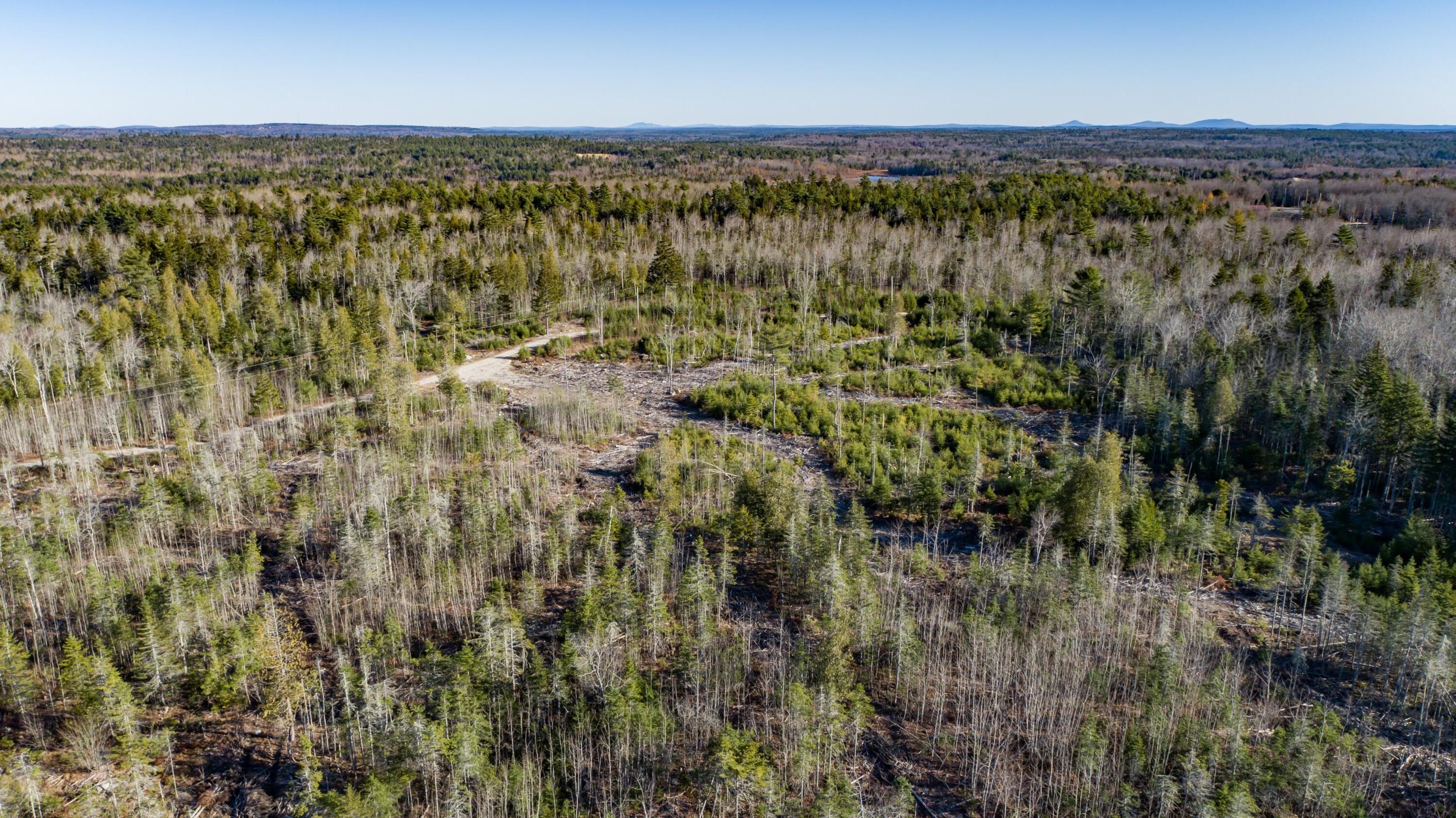 29-52a Ellsworth Road Blue Hill, ME 04614 - Photo 2 of 12 50 Acres