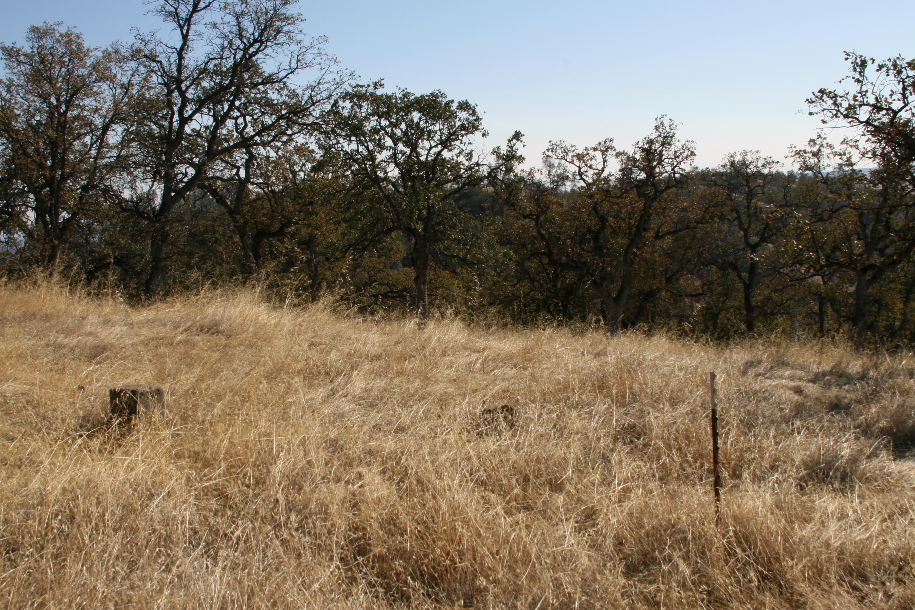 Lot#60 Nono Road Igo, CA 96047 - Photo 18 of 29 a view of a yard