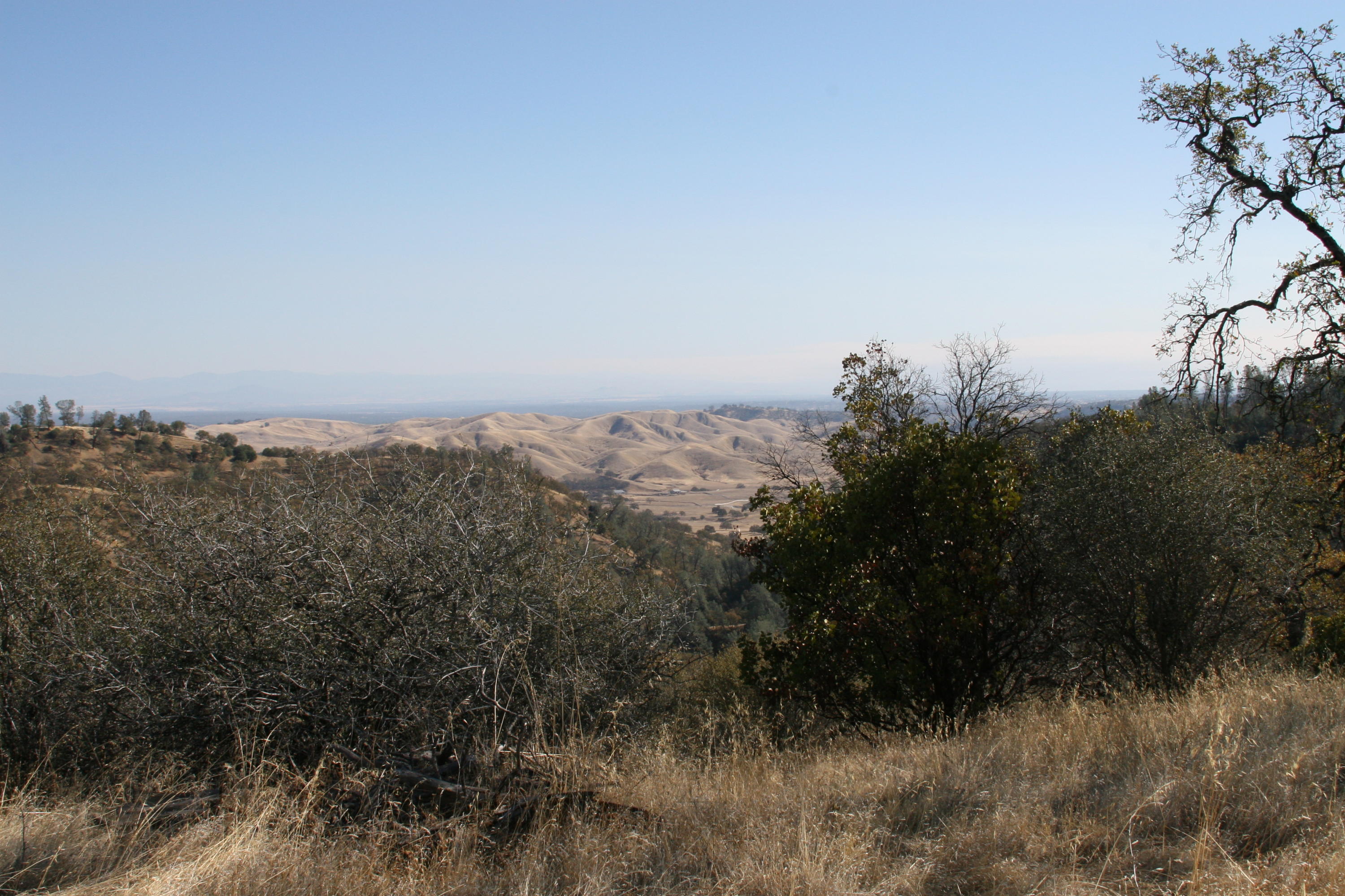Lot#60 Nono Road Igo, CA 96047 - Photo 9 of 29 a view of a large yard with lots of green space
