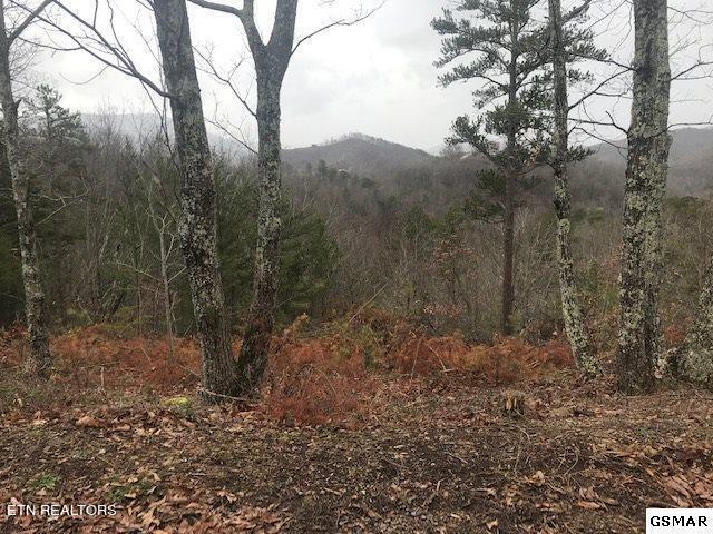 Lot 33 Trace Way Sevierville, TN 37862 - Photo 8 of 8 8