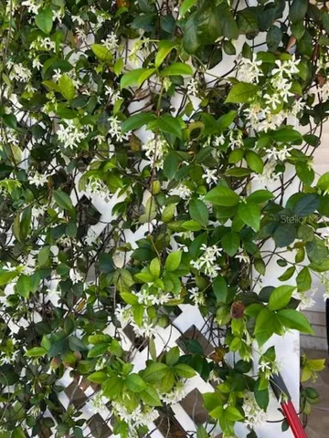 $195,000 | 1100 South Belcher Road, Unit 727, Largo, FL 33771