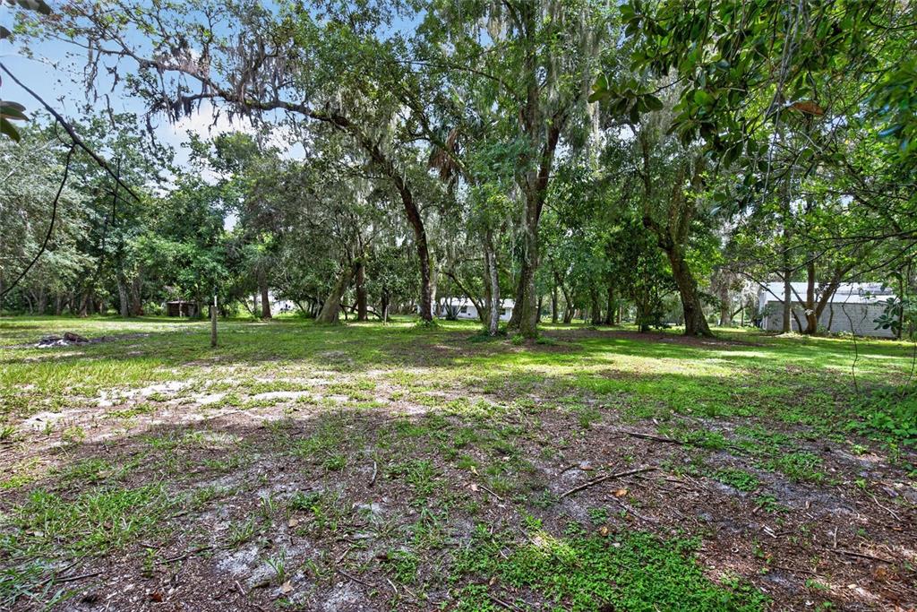 300 Scott Road Geneva, FL 32732 - Photo 61 of 87 Gallery Image 61