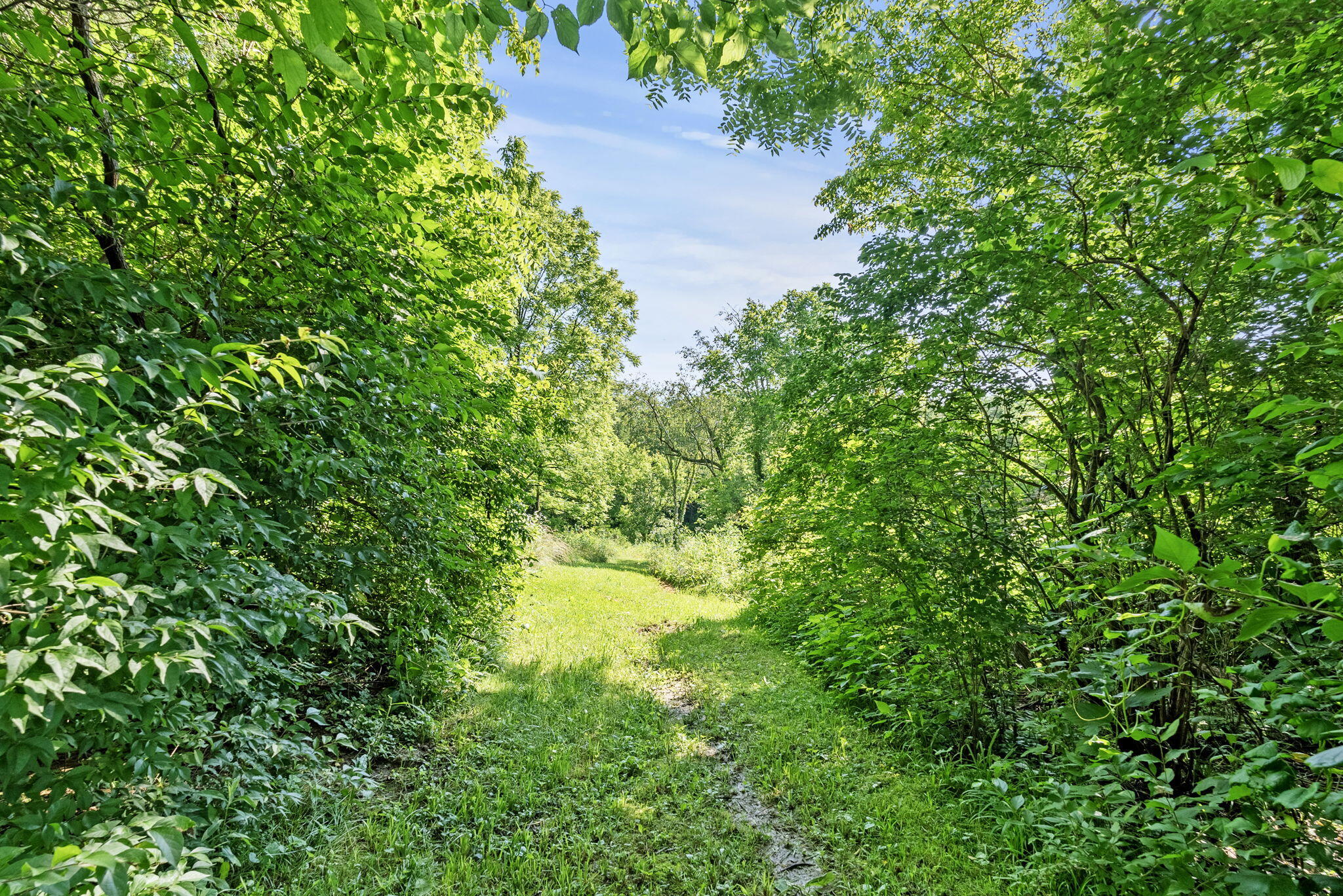 575 Wells Road Mount Sterling, KY 40353 - Photo 29 of 35 23-web-or-mls-DSC02045
