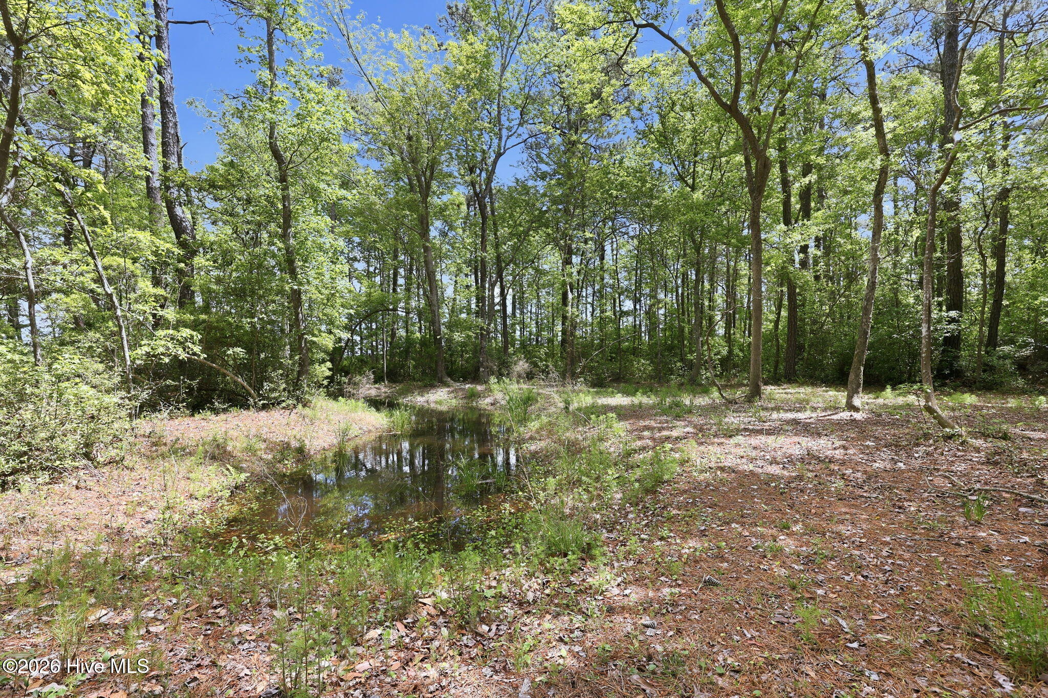307 Crows Nest Road Beaufort, NC 28516 - Photo 38 of 50 17-web-or-mls-307 Crows Nest Rd 017