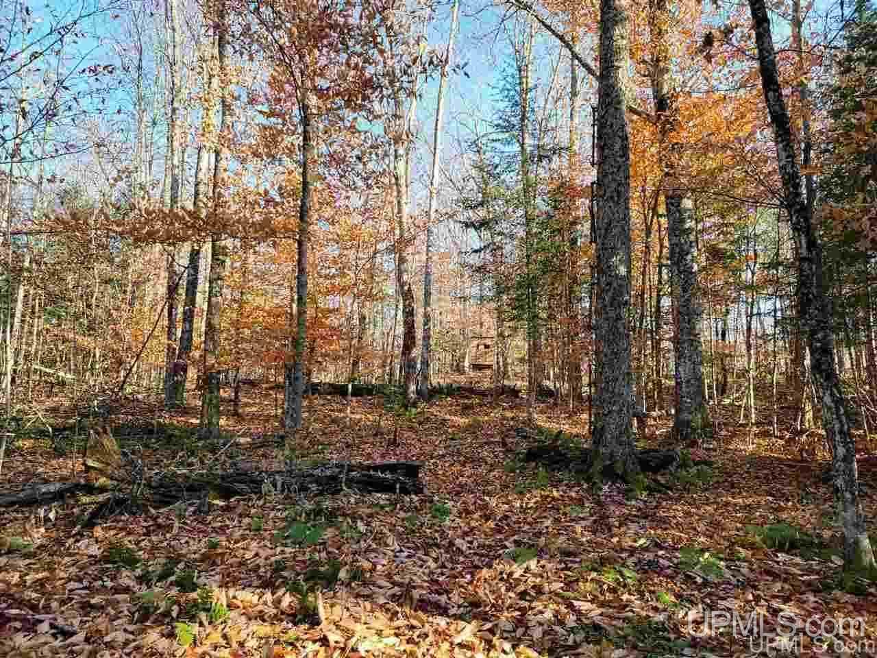 7014 West Co Road Manistique, MI 49854 - Photo 25 of 25