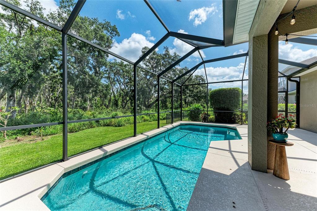 5307 65th Terrace East Ellenton, FL 34222 - Photo 27 of 47 a view of swimming pool with a patio and a garden