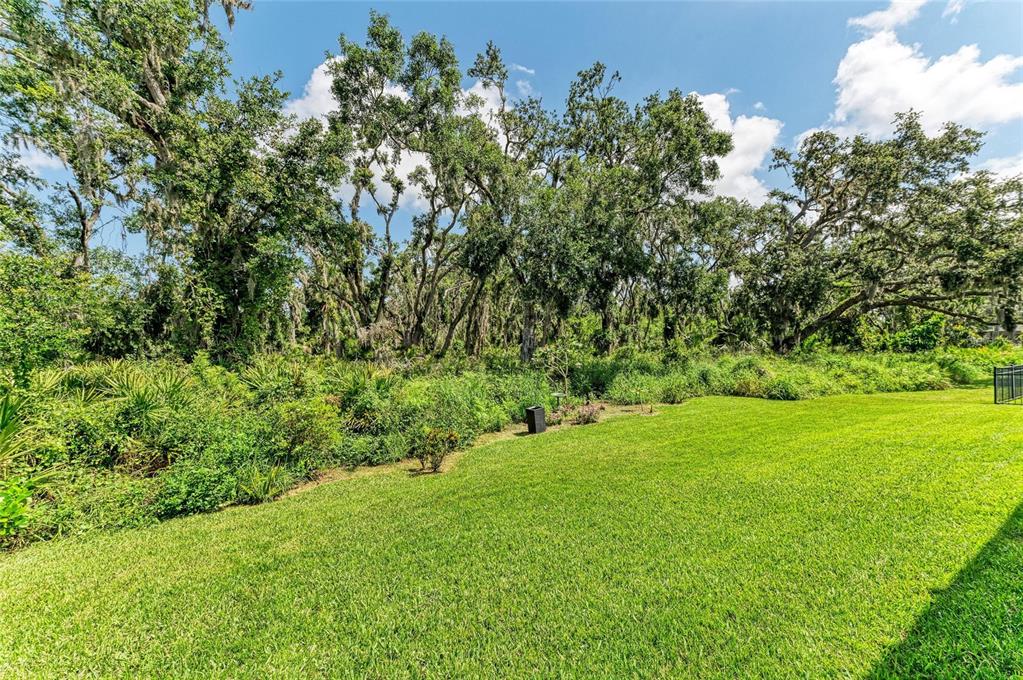 5307 65th Terrace East Ellenton, FL 34222 - Photo 44 of 47 a view of a lush green space
