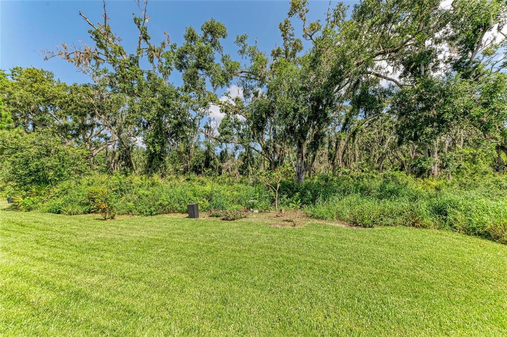 5307 65th Terrace East Ellenton, FL 34222 - Photo 45 of 47 a view of a grassy field with trees