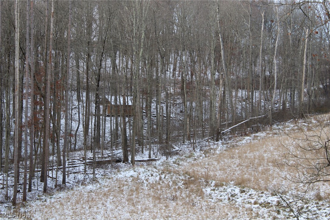 Amsterdam Road Scio, OH 43988 - Photo 7 of 29 Gallery Image 7