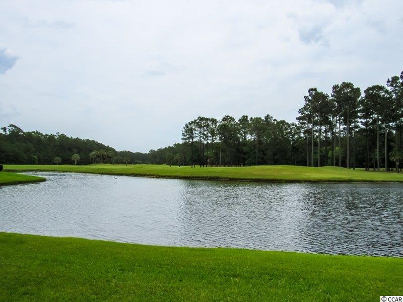627 Locke Court Murrells Inlet, SC 29576 - Photo 37 of 37 Gallery Image 37