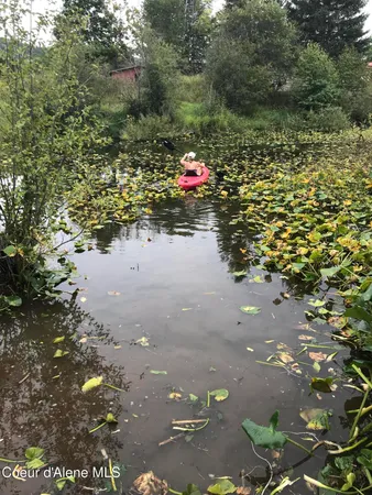 $799,000 | 66 Fern Lane, Cocolalla, ID 83813