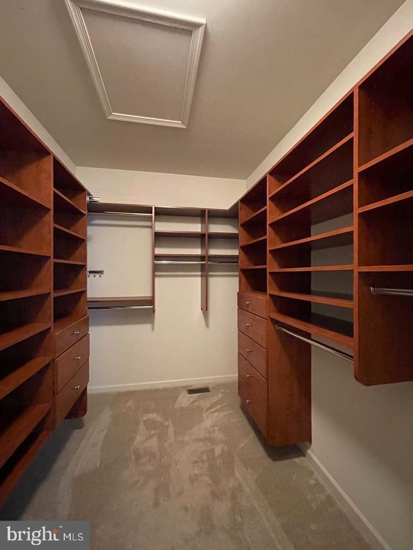 104 Camp David Road Wilmington, DE 19810 - Photo 24 of 36 Large primary walk-in closet with custom shelving