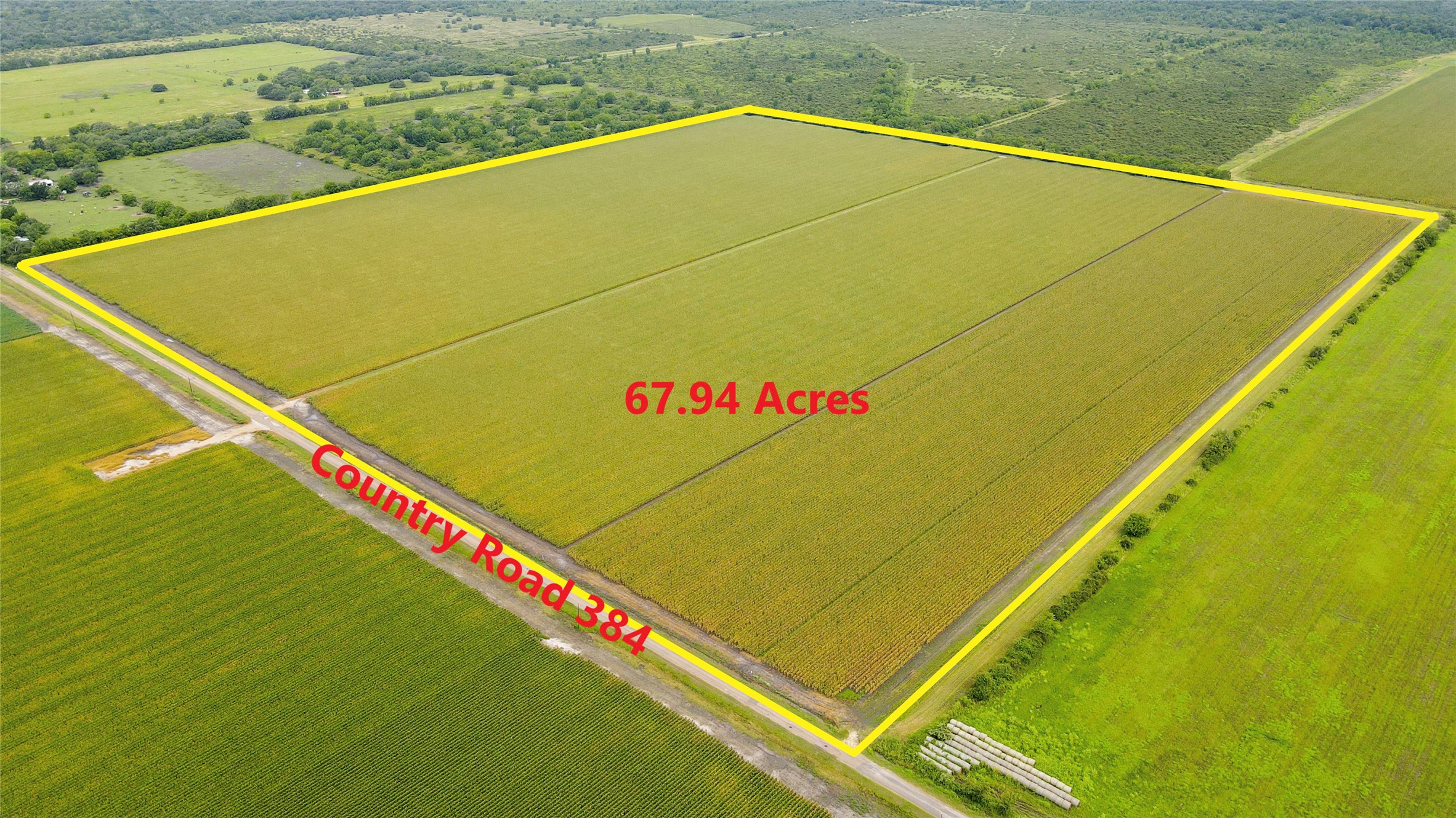0 County Road 384 Louise, TX 77455 - Photo 1 of 20