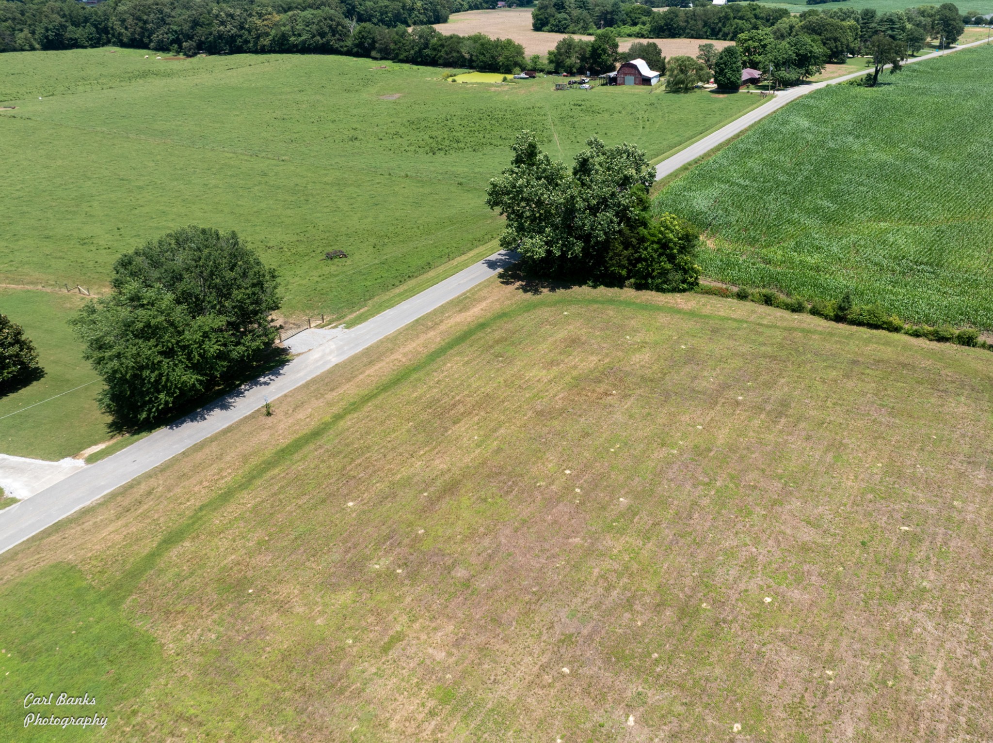 0 Metcalf Road Winchester, TN 37398 - Photo 7 of 13