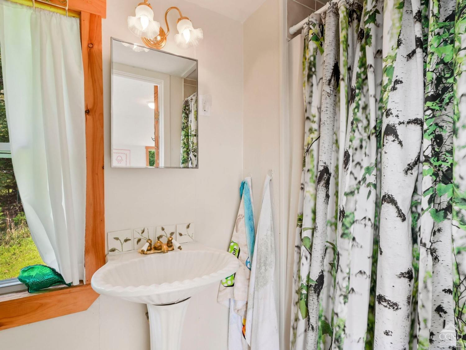 157 Horseshoe Road Conesville, NY 12076 - Photo 28 of 48 a bathroom with a sink and toilet