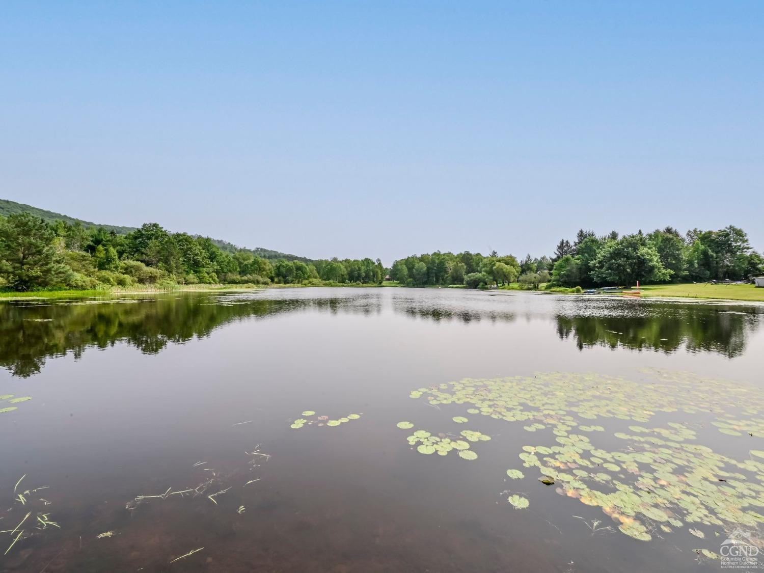 157 Horseshoe Road Conesville, NY 12076 - Photo 44 of 48 a view of a lake with houses in the background