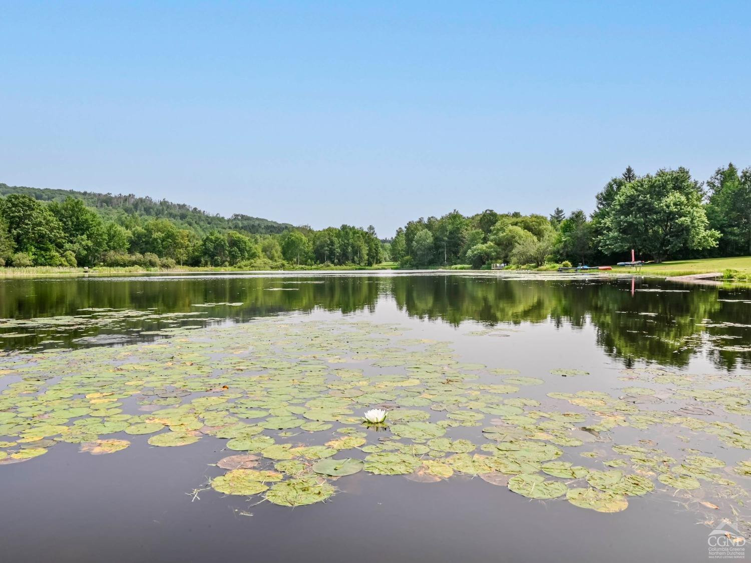 157 Horseshoe Road Conesville, NY 12076 - Photo 45 of 48 a view of a lake with a large mountain view