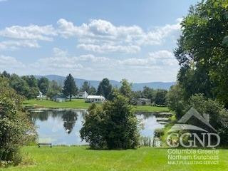 157 Horseshoe Road Conesville, NY 12076 - Photo 46 of 48 a view of a water pond with green space