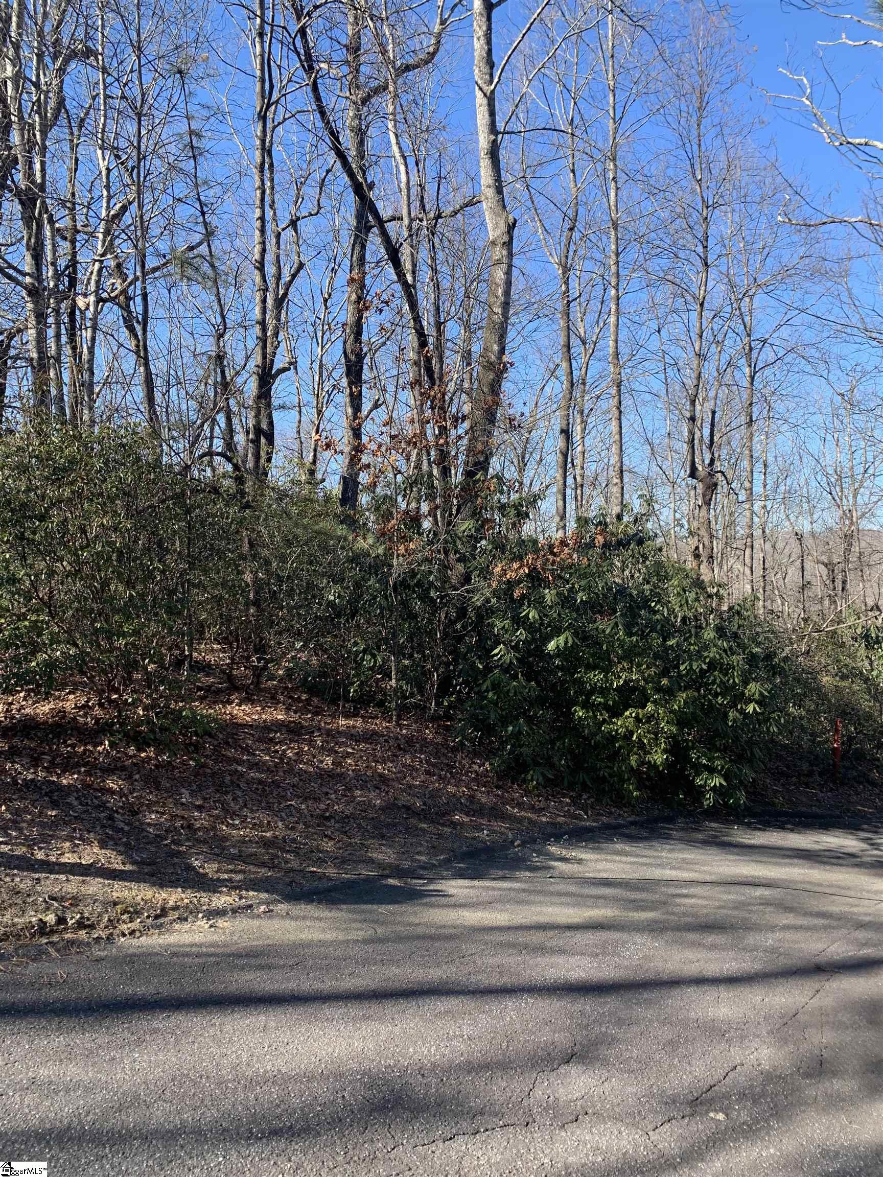 0 Cliff Ridge Drive, Unit LOT 253 Cleveland, SC 29635 - Photo 12 of 17