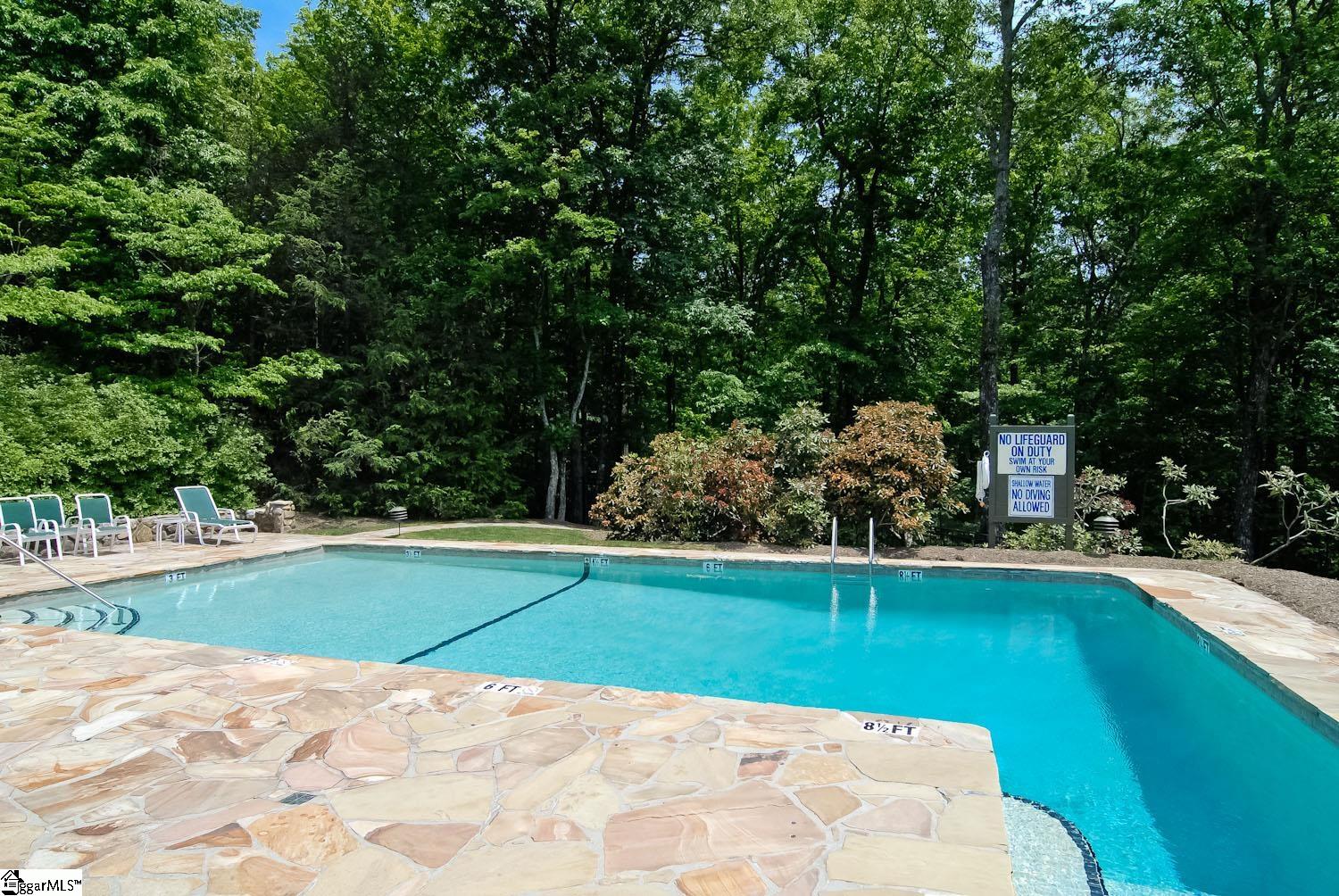 0 Cliff Ridge Drive, Unit LOT 253 Cleveland, SC 29635 - Photo 8 of 17