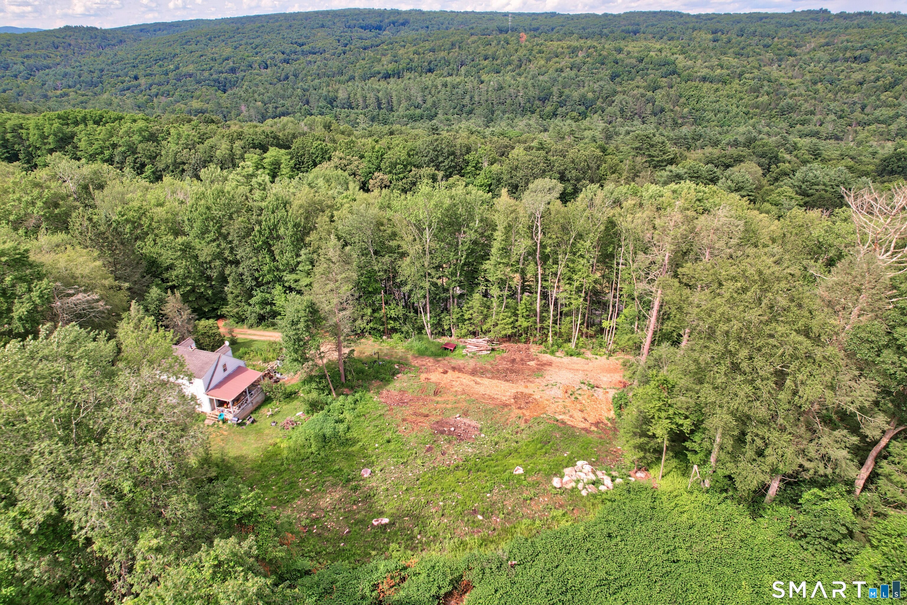 a view of a lush green forest with lots of trees