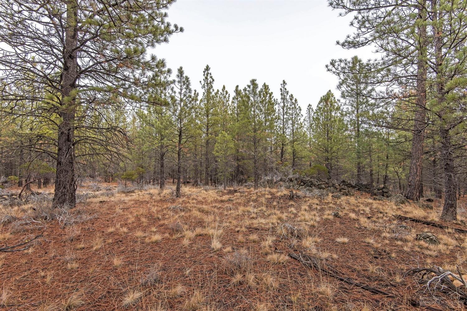 14922 Remuda Road Sisters, OR 97759 - Photo 14 of 19 Gallery Image 14