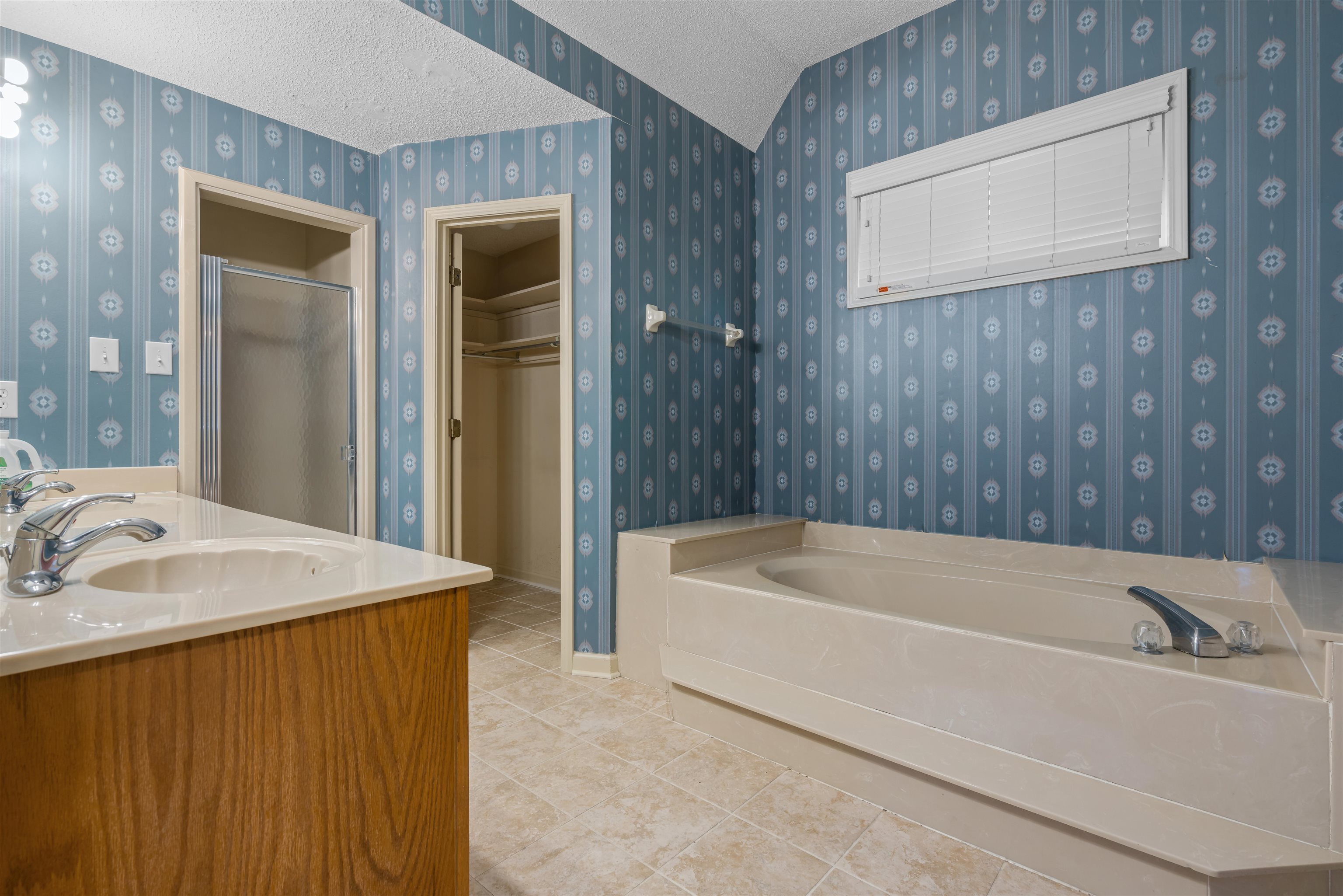 9403 Shadow Ridge Cove Cordova, TN 38016 - Photo 12 of 21 a bathroom with a sink and a bathtub