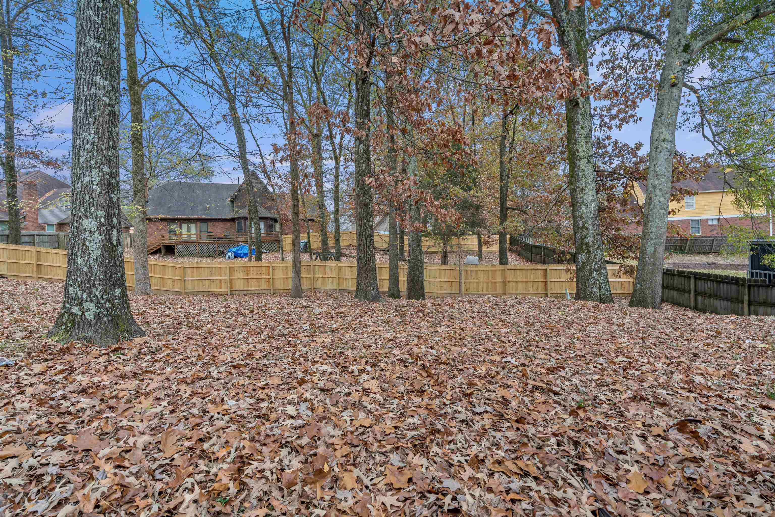 9403 Shadow Ridge Cove Cordova, TN 38016 - Photo 21 of 21 a backyard of a house with lots of green space