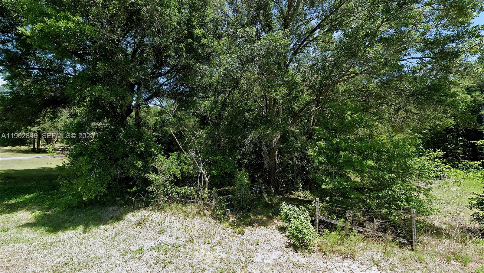 Undetermined Southwest 200th Court Dunnellon, FL 34431 - Photo 6 of 8 a view of a yard with plants and large trees