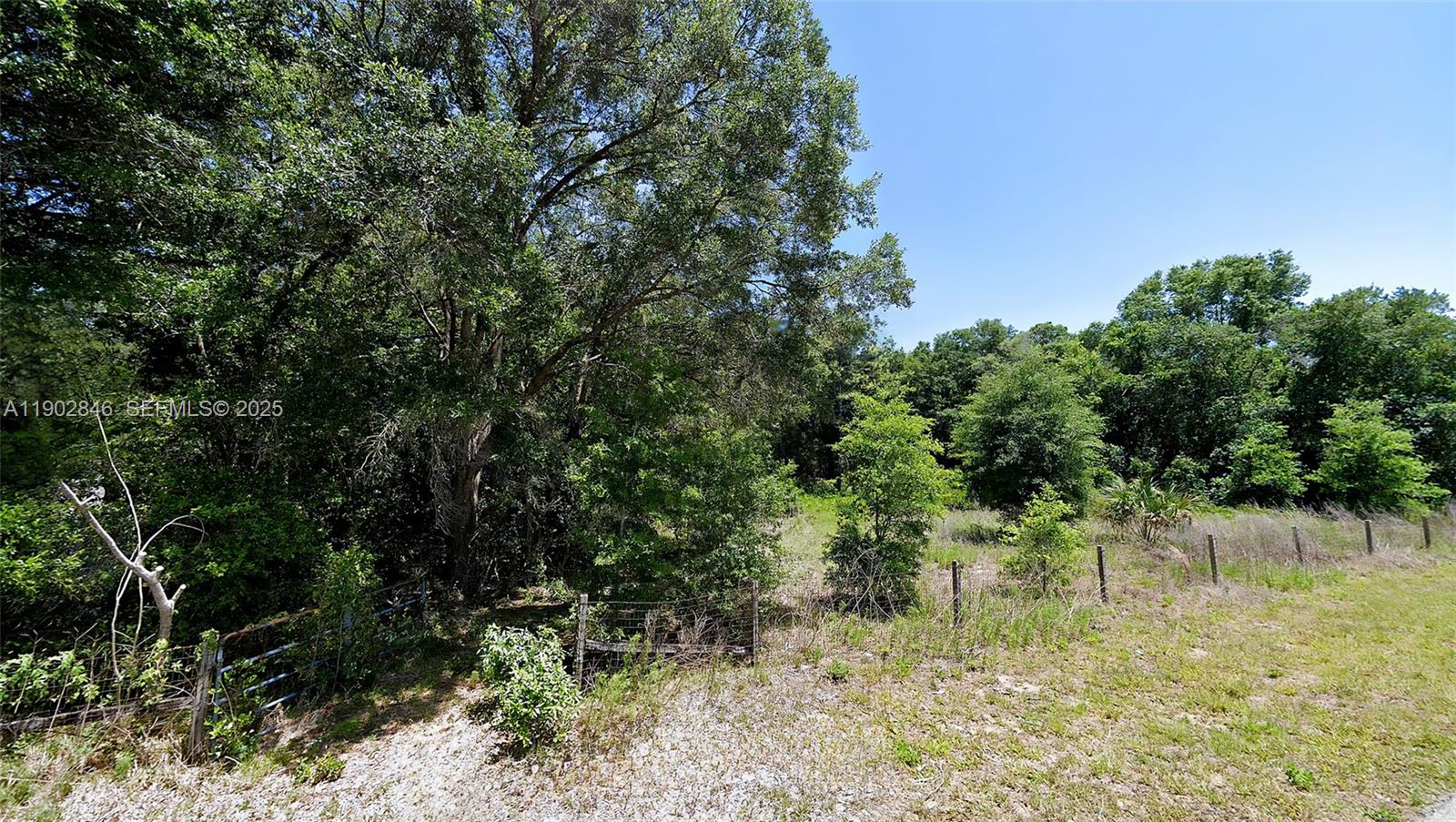 Undetermined Southwest 200th Court Dunnellon, FL 34431 - Photo 7 of 8 a view of a yard with a tree