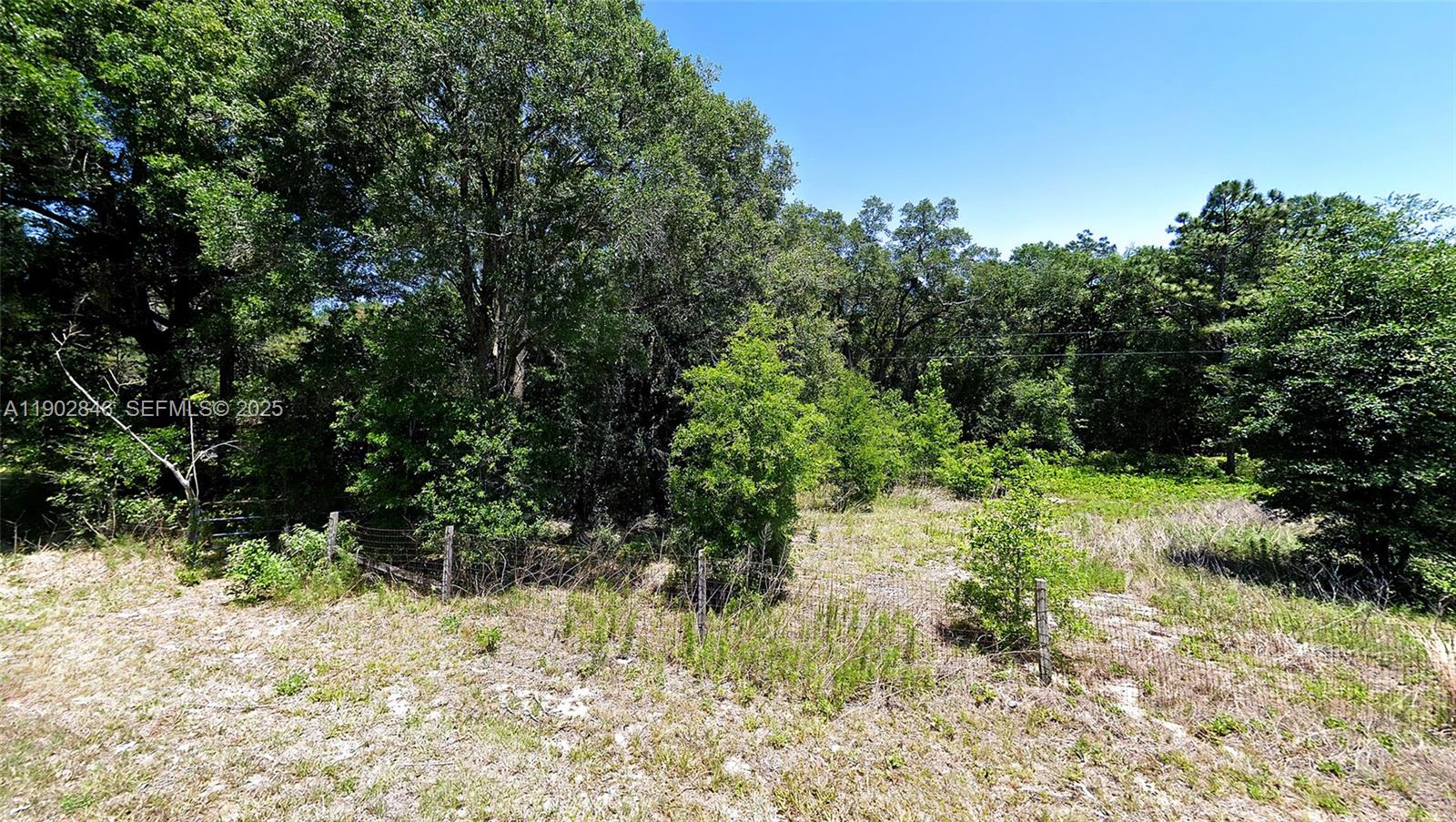 Undetermined Southwest 200th Court Dunnellon, FL 34431 - Photo 8 of 8 a view of a yard with plants and large trees