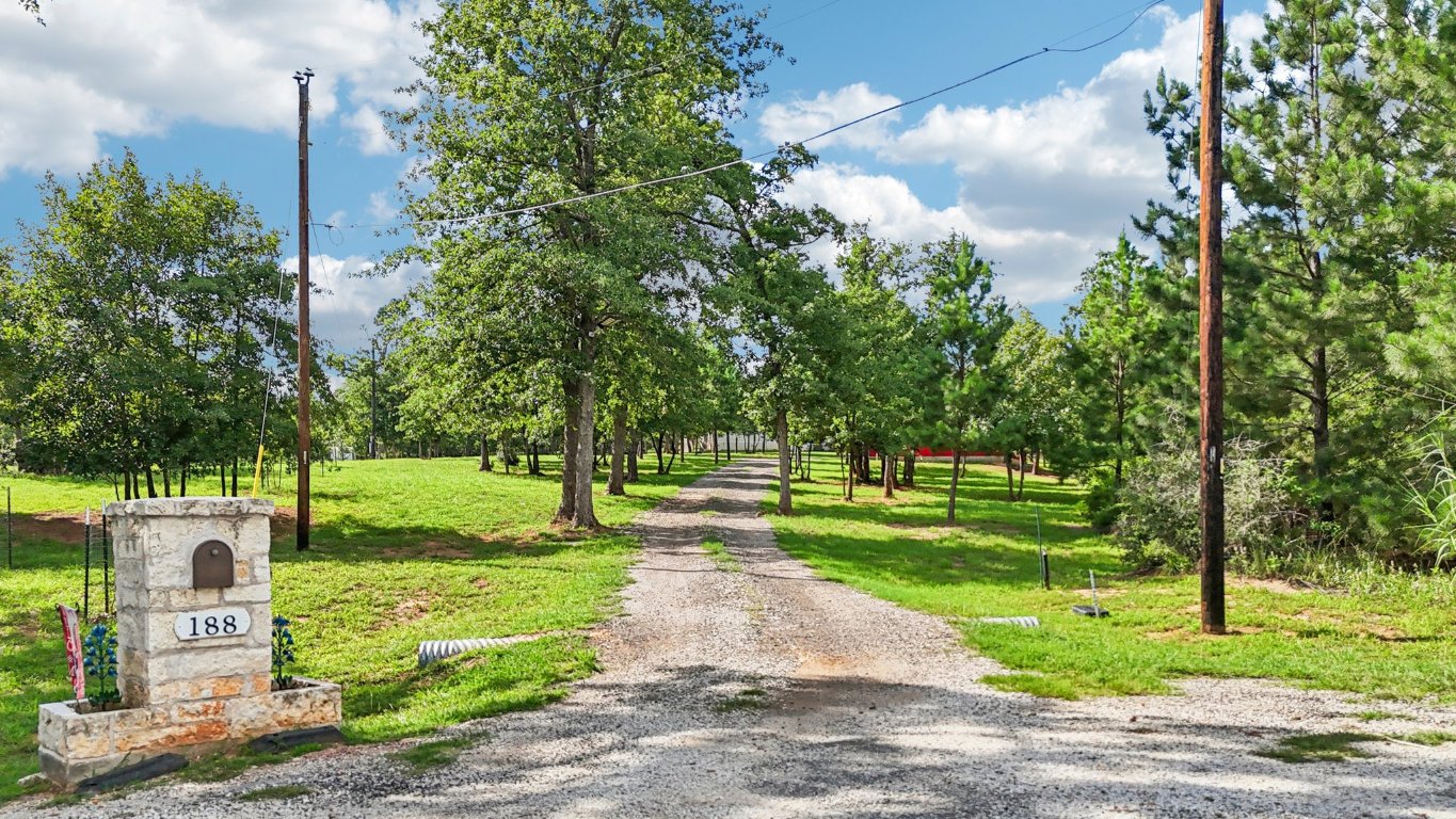 a huge green field with lots of bushes