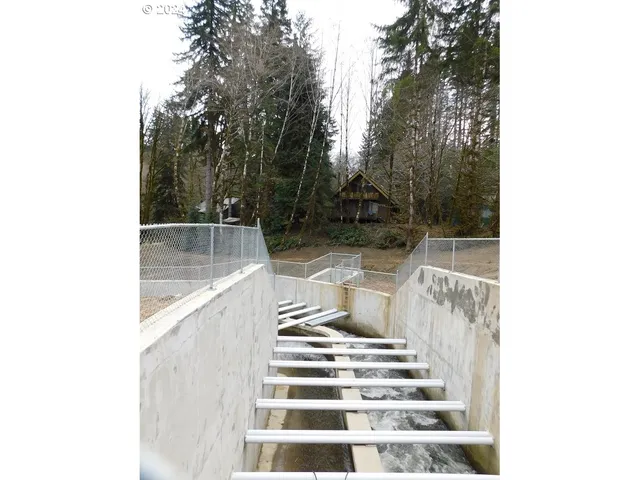 $230,000 | 9864 Beach Drive, Birkenfeld, OR 97016