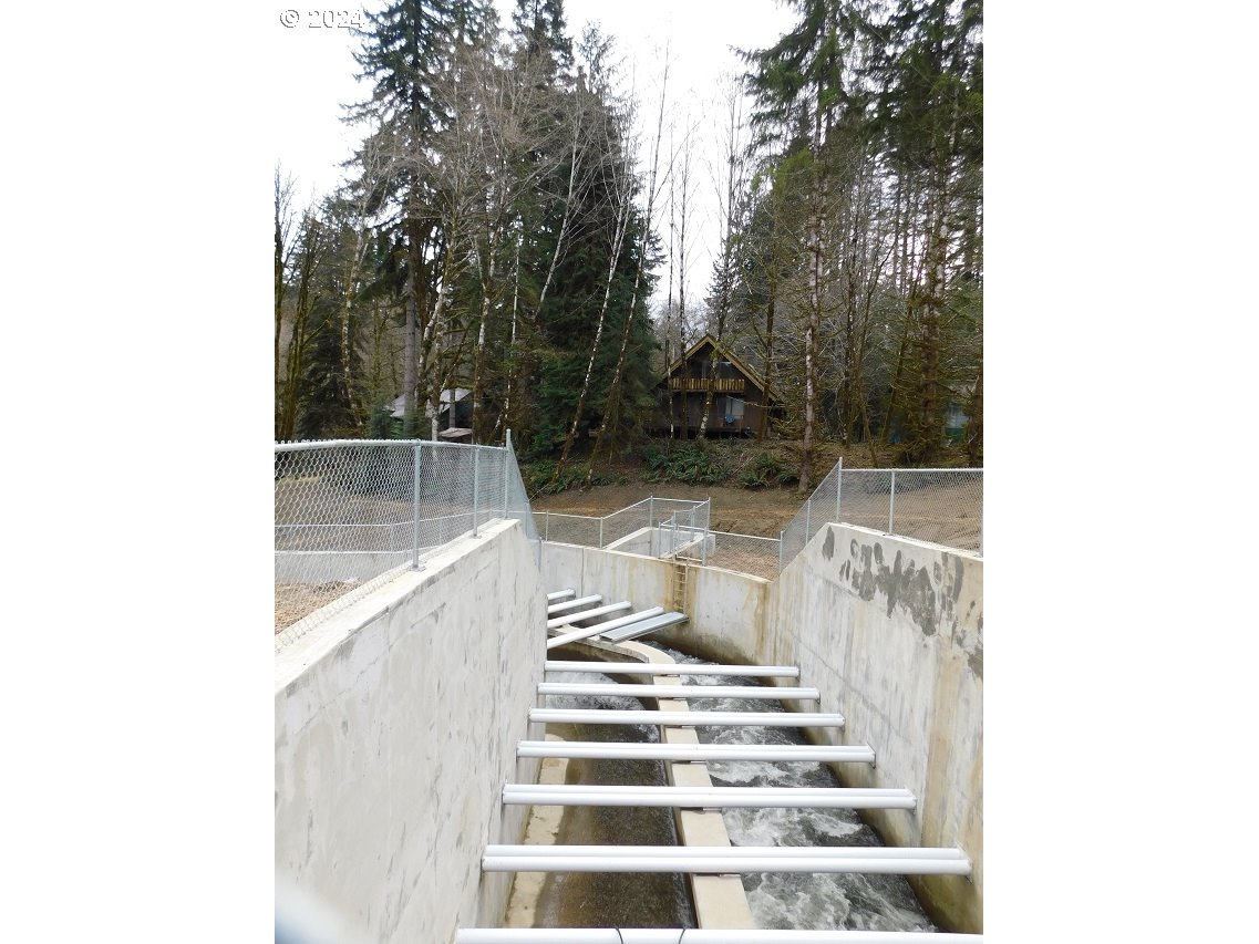 9864 Beach Drive Birkenfeld, OR 97016 - Photo 29 of 31