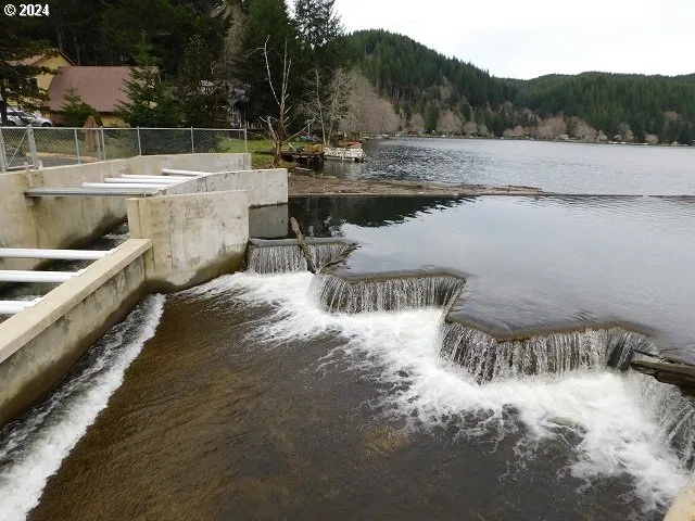 $230,000 | 9864 Beach Drive, Birkenfeld, OR 97016