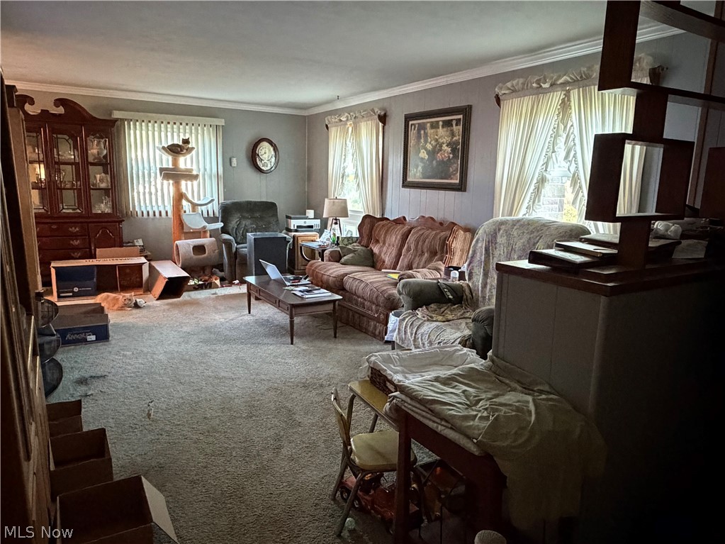 7219 Wilson Sharpsville Road Burghill, OH 44404 - Photo 3 of 22