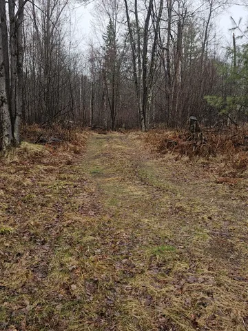 $450,000 | 1983 Highway 2, Florence, WI 54121