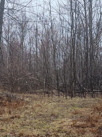 $450,000 | 1983 Highway 2, Florence, WI 54121