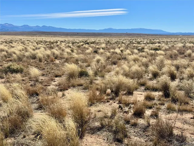 a view of an ocean from a yard