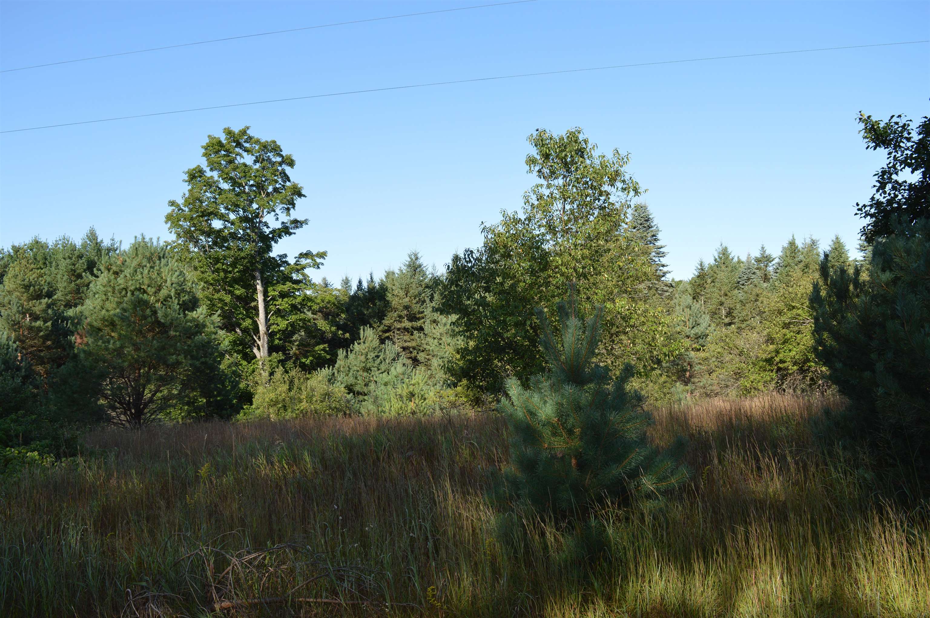 Gildas Rd Rapid Alden, MI 49612 - Photo 2 of 15