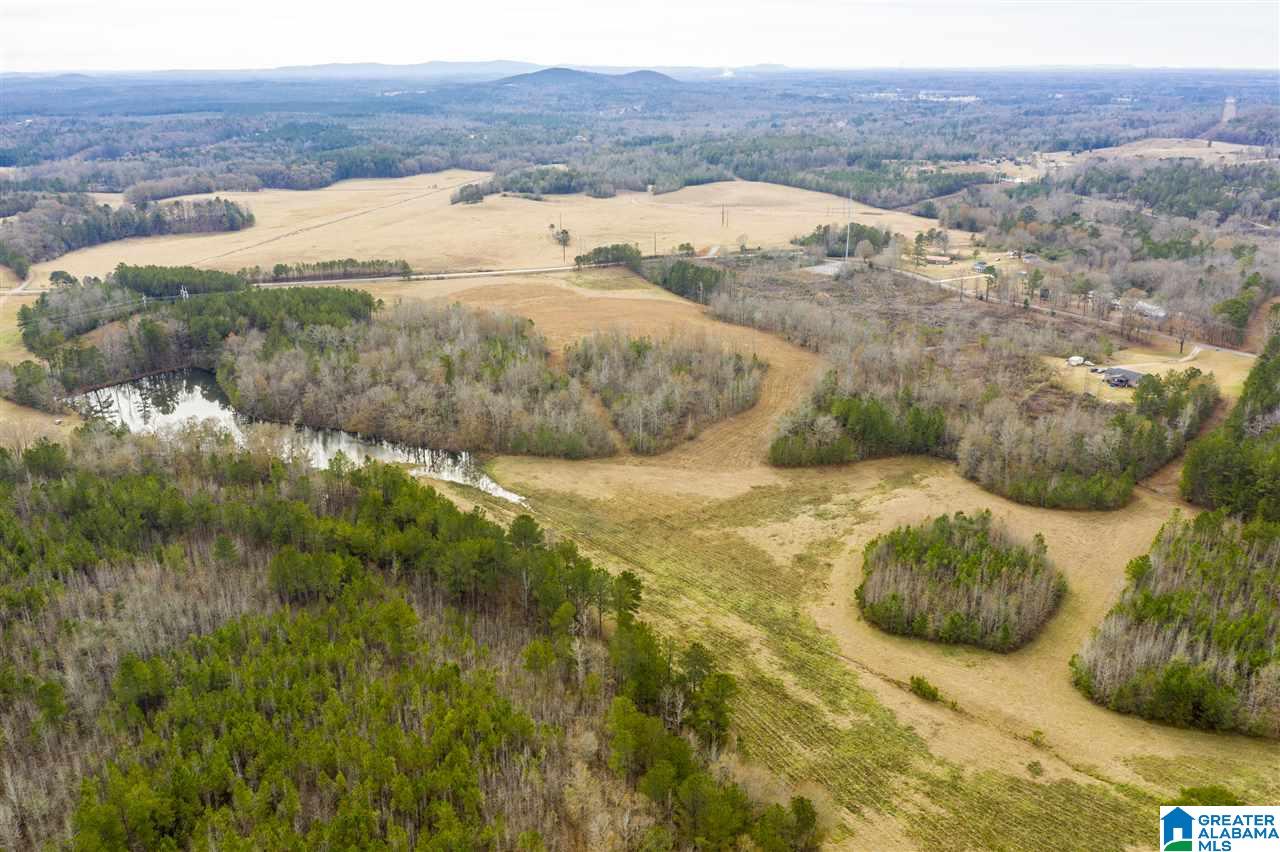 0 Constellation Avenue, Unit 1 Alpine, AL 35014 - Photo 15 of 34