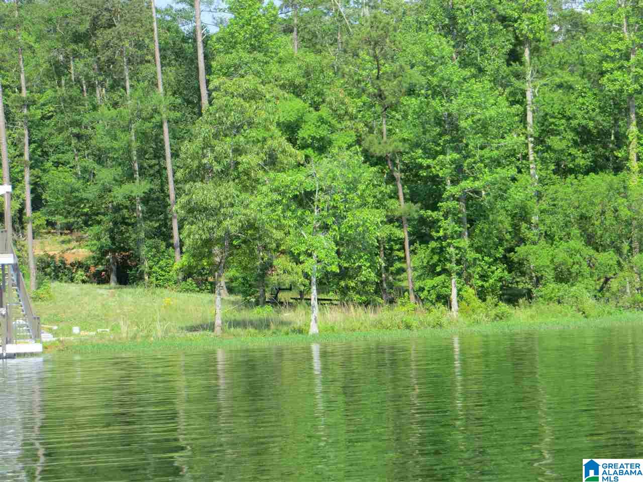 Lot 11 Eagle Mountain Road, Unit 11 Alexander City, AL 35010 - Photo 1 of 11