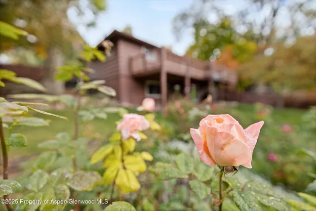 a view of city and mountain