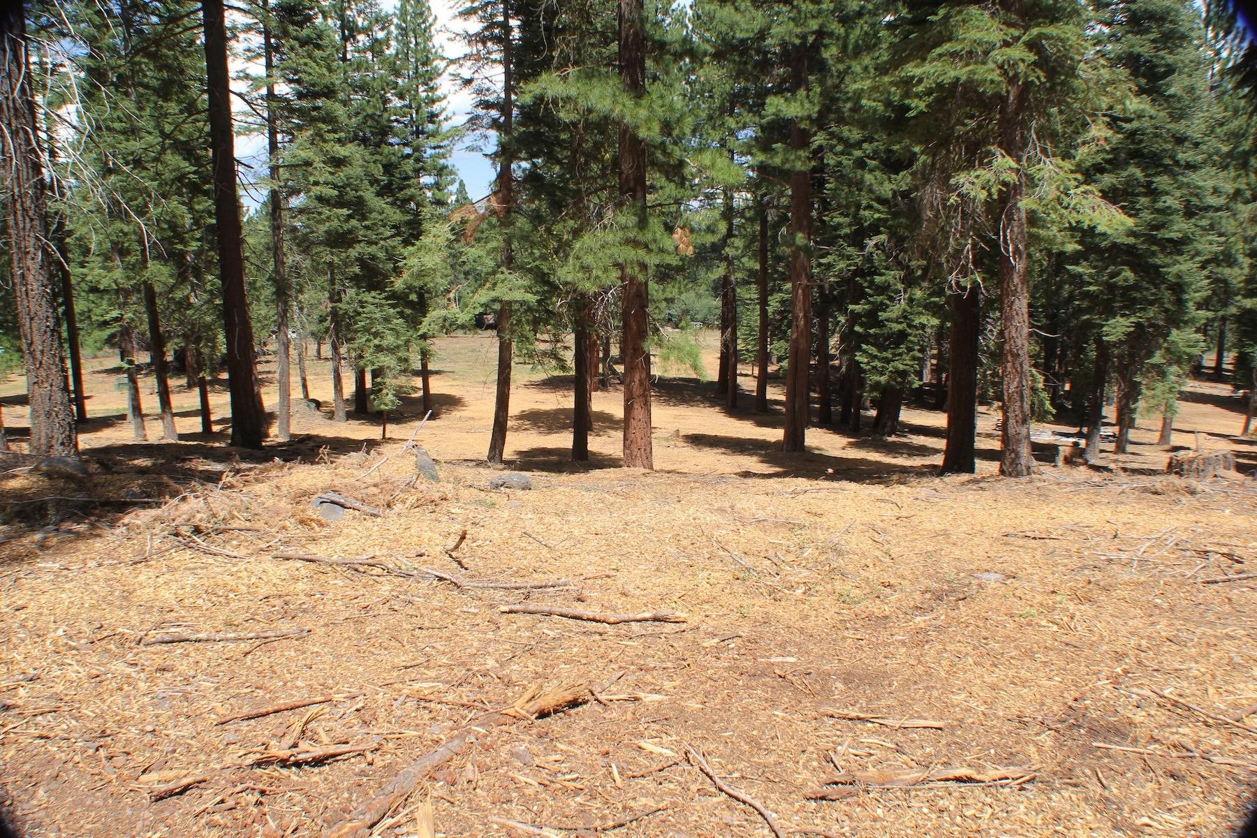 10735 Dogwood Road Truckee, CA 96161 - Photo 14 of 20 a view of outdoor space with seating