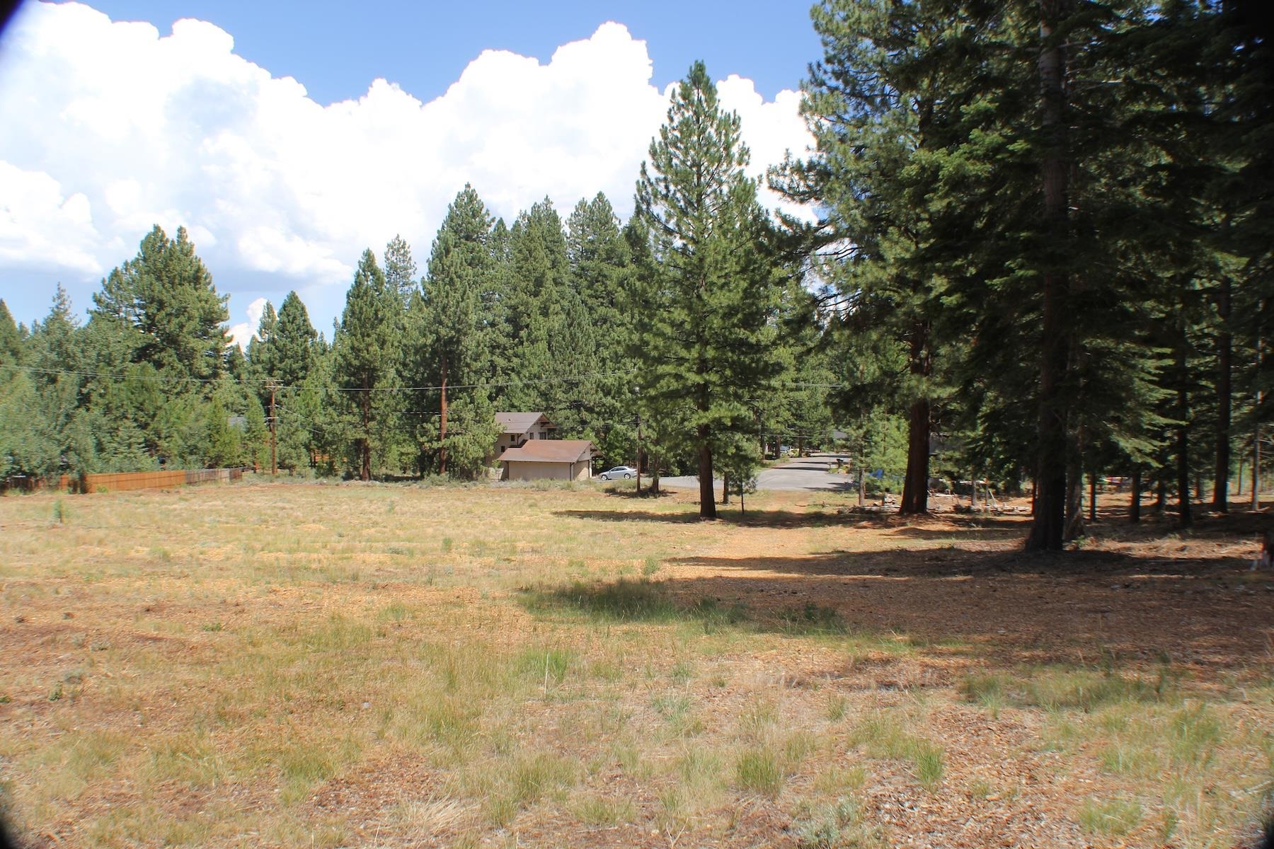 10735 Dogwood Road Truckee, CA 96161 - Photo 18 of 20 a view of a yard with a tree