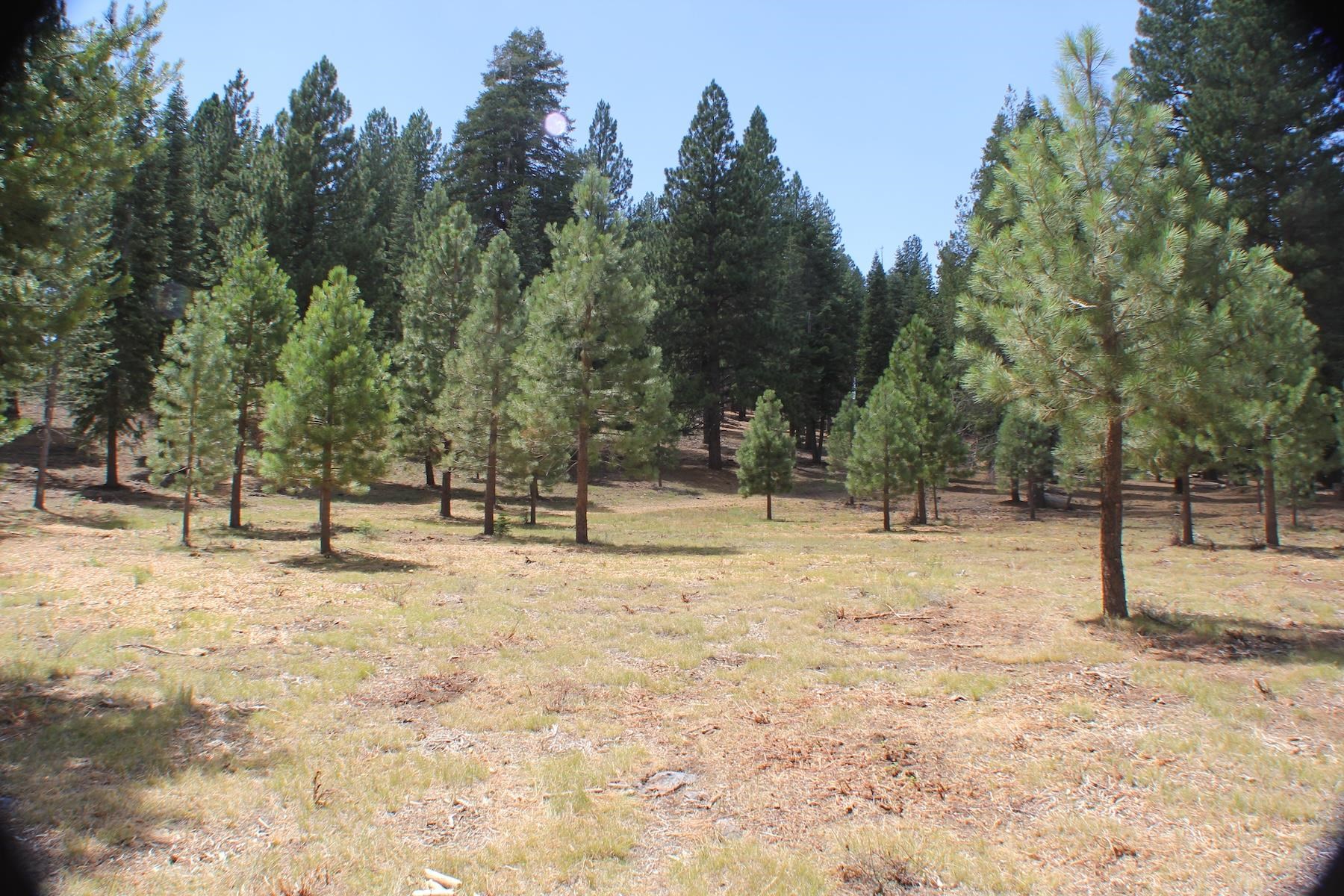 10735 Dogwood Road Truckee, CA 96161 - Photo 20 of 20 a view of empty space with trees