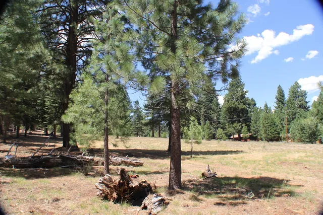 a view of a yard with snow on the road